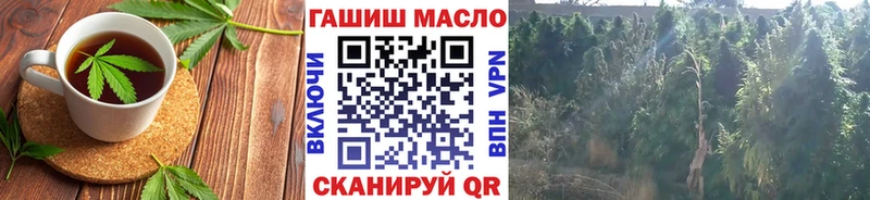 Еда ТГК конопля  как найти   Щёкино 