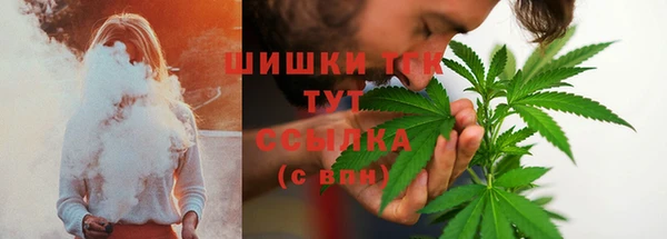 крисы Нефтекумск