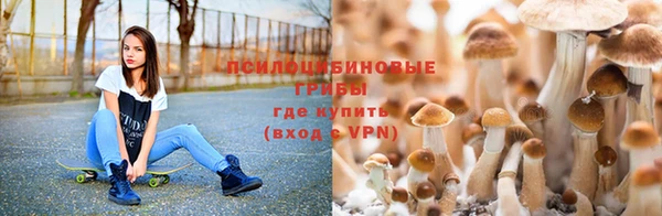 крисы Нефтекумск