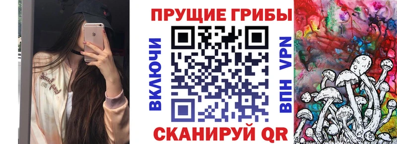 дарнет шоп  Щёкино  Псилоцибиновые грибы Magic Shrooms 